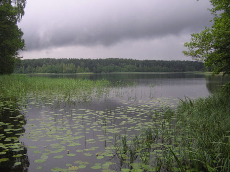 Želvos ežeras, oi, tuoj bus lietaus!